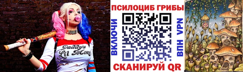 Псилоцибиновые грибы GOLDEN TEACHER  цены   Кологрив 